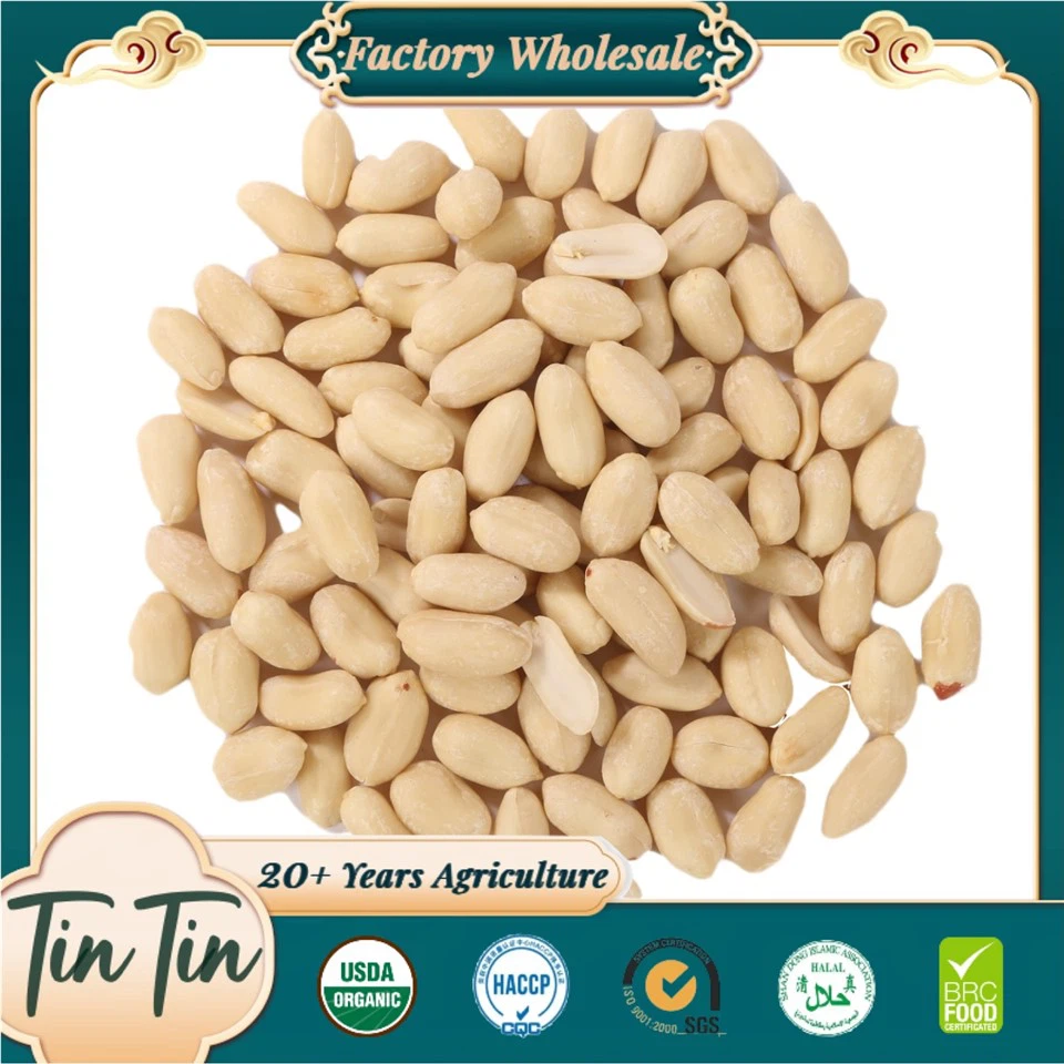 Blanšētie zemesriekstu kodoli 25/29 2024 raža