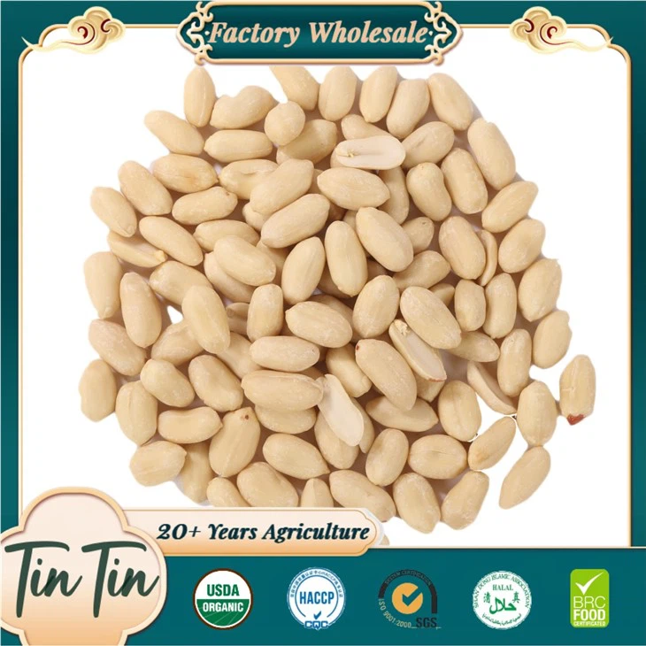 Ķīnas rūpnīcas augstas kvalitātes zemas cenas blanšētie zemesriekstu kodoli