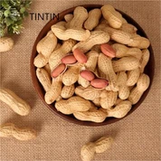 Garšīgs un kvalitatīvs ķīniešu grauzdētu zemesriekstu čaumalā piegādātājs